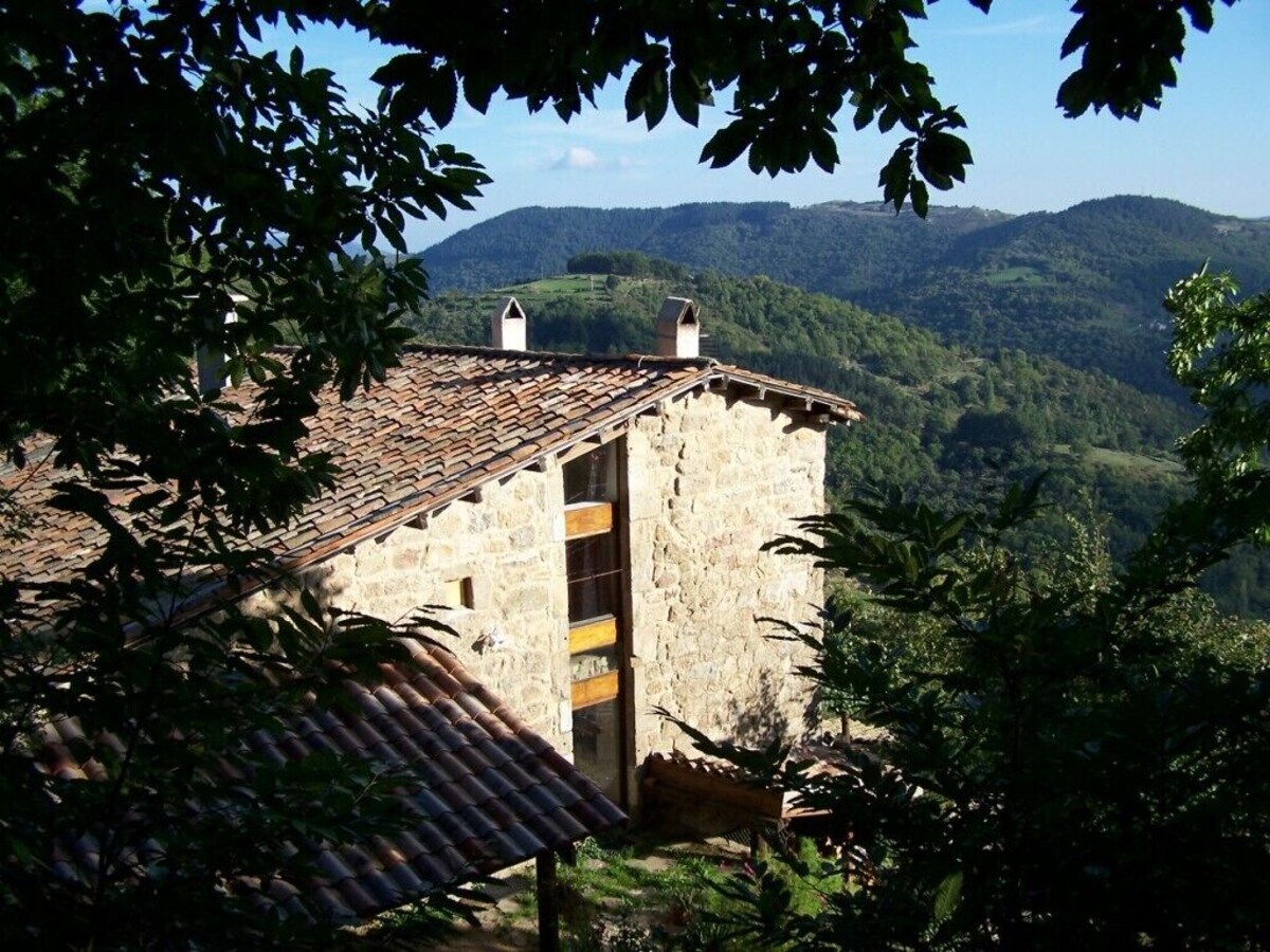 Les Châtaigniers